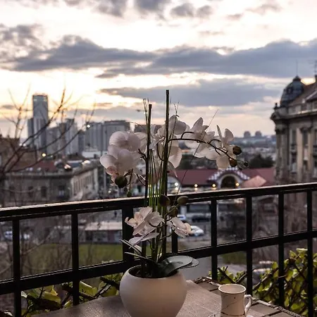 Max Luxury * Belgrad